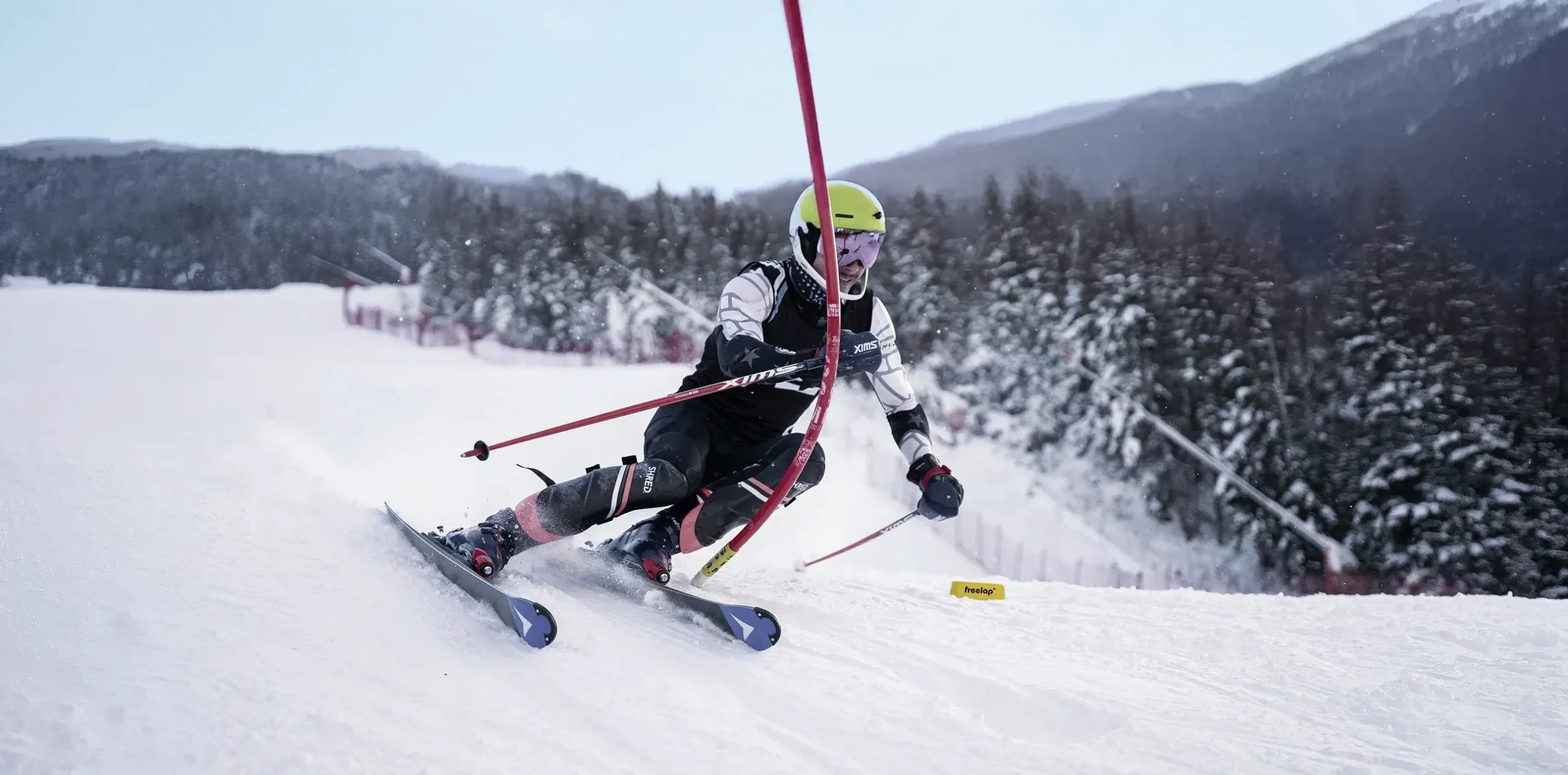 Ski ALpin Freelap