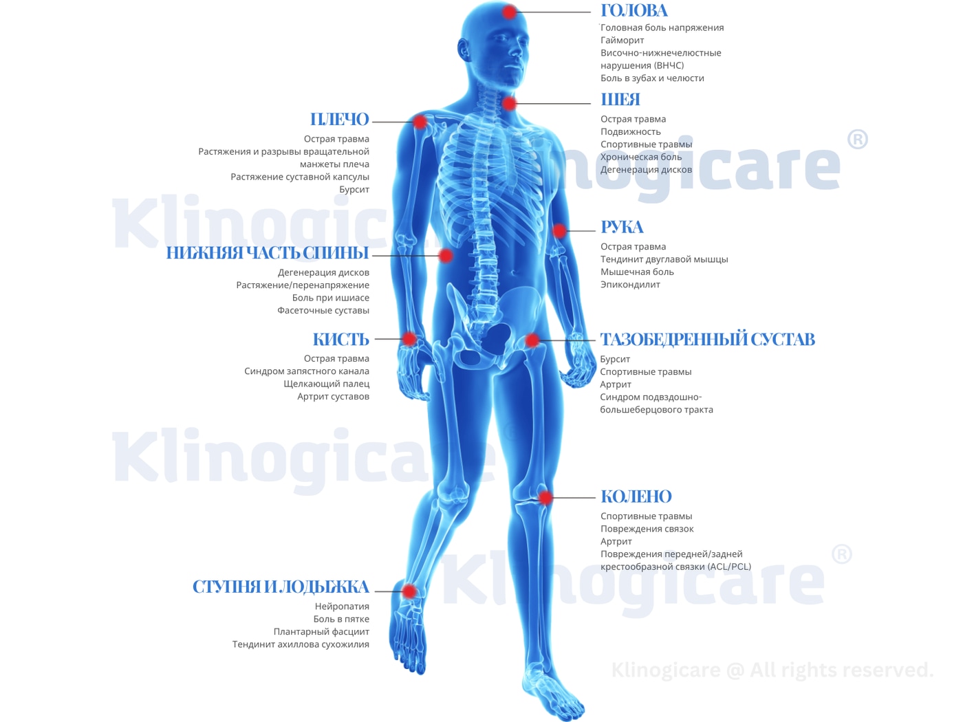 Klinogicare® Beam Ultra Power Physio Laser 45W ХИТЛ лазер — снимок 2