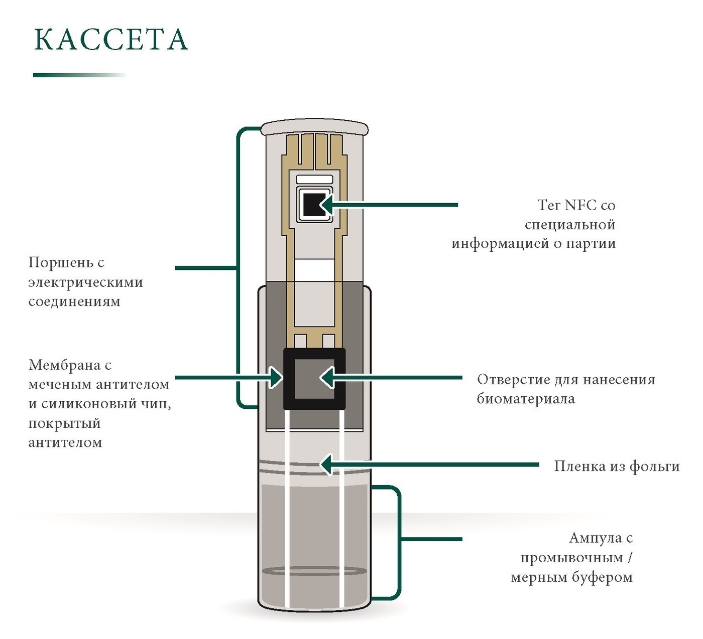 Схема кассеты VeraSTAT в разрезе с подписями узлов: тег NFC, поршень, мембрана, ампула с буфером