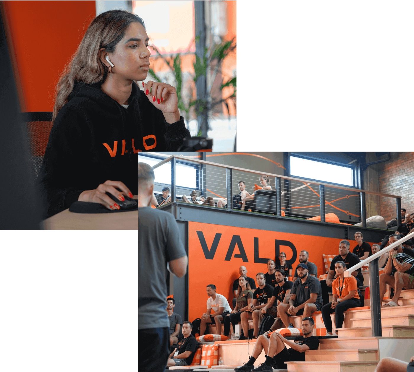 Специалисты работают с системами VALD: тестирование и разбор результатов